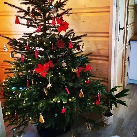 Zymbiansko 1 Z Balia Na Wylacznosc *