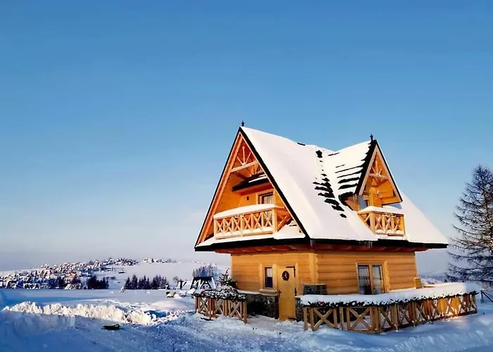 Zymbiansko 1 Z Balia Na Wylacznosc زومب